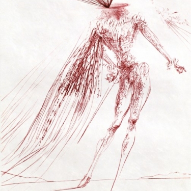 The Marquis