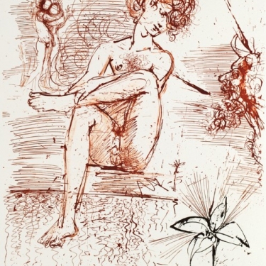 Narcissus