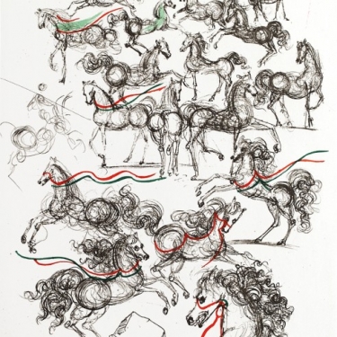 Horses