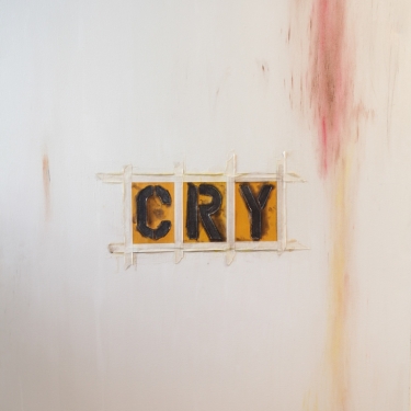cry-300