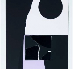 Color Lithograph and silkscreen