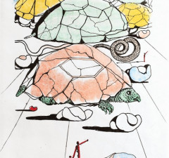 The Turtle Mountain