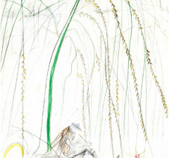 Weeping Willow