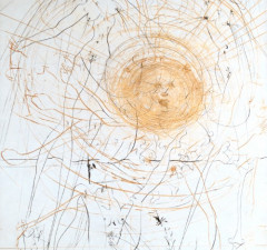 The Sun